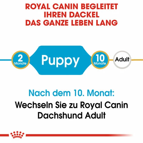 Royal Canin Dachshund Puppy - Hundefutter 7 Royal Canin Dachshund Puppy - Hundefutter – Bild 5