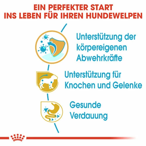 Royal Canin Dachshund Puppy - Hundefutter 4 Royal Canin Dachshund Puppy - Hundefutter – Bild 2