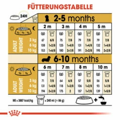 Royal Canin Dachshund Puppy - Hundefutter 16 Royal Canin Dachshund Puppy - Hundefutter -Trixie Verkäufe 2024 royal canin dachshund puppy hondenvoer 138355 0500 none