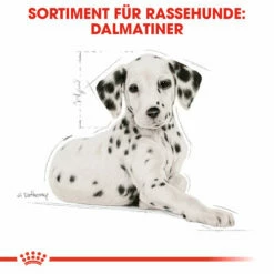 Royal Canin Dalmatian Puppy - Hundefutter -Trixie Verkäufe 2024 royal canin dalmatian puppy hondenvoer 138589 0500 none
