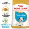 Royal Canin Dalmatian Puppy - Hundefutter -Trixie Verkäufe 2024 royal canin dalmatian puppy hondenvoer 140534 0500 none