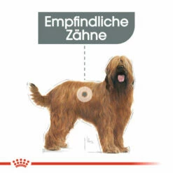 Royal Canin Maxi Dental Care - Hundefutter -Trixie Verkäufe 2024 royal canin dental care maxi hondenvoer 130862 0500 none