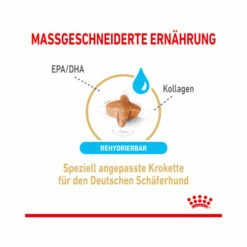 Royal Canin German Shepherd Adult 5+ 11 Royal Canin German Shepherd Adult 5+ -Trixie Verkäufe 2024 royal canin german shepherd adult 5 165106 0500 none