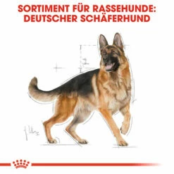 Royal Canin German Shepherd Adult - Hundefutter -Trixie Verkäufe 2024 royal canin german shepherd adult hondenvoer 138751 0500 none
