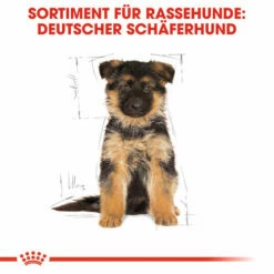 Royal Canin German Shepherd Puppy - Hundefutter -Trixie Verkäufe 2024 royal canin german shepherd puppy hondenvoer 138838 0500 none