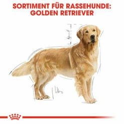 Royal Canin Golden Retriever Adult - Hundefutter -Trixie Verkäufe 2024 royal canin golden retriever adult hondenvoer 138871 0500 none