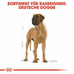 Royal Canin Great Dane Adult - Hundefutter 12 Royal Canin Great Dane Adult - Hundefutter -Trixie Verkäufe 2024 royal canin great dane adult hondenvoer 138994 0500 none