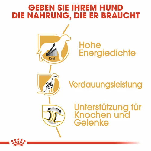 Royal Canin Great Dane Adult - Hundefutter 4 Royal Canin Great Dane Adult - Hundefutter – Bild 2