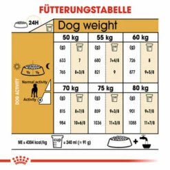 Royal Canin Great Dane Adult - Hundefutter 14 Royal Canin Great Dane Adult - Hundefutter -Trixie Verkäufe 2024 royal canin great dane adult hondenvoer 139030 0500 none