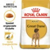 Royal Canin Great Dane Adult - Hundefutter -Trixie Verkäufe 2024 royal canin great dane adult hondenvoer 139048 0500 none