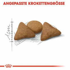 Royal Canin Indoor Appetite Control - Katzenfutter -Trixie Verkäufe 2024 royal canin indoor appetite control kattenvoer 127229 0500 none