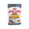 Royal Canin Hair & Skin In Jelly - Katzenfutter -Trixie Verkäufe 2024 royal canin intense beauty in jelly kattenvoer 222156 0500 none