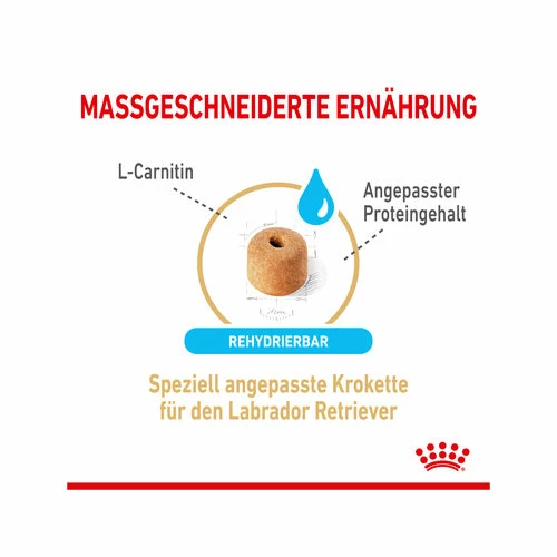 Royal Canin Labrador Retriever Adult 5+ 4 Royal Canin Labrador Retriever Adult 5+ – Bild 2