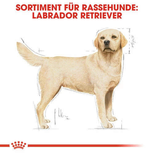 Royal Canin Labrador Retriever Adult - Hundefutter 6 Royal Canin Labrador Retriever Adult - Hundefutter – Bild 4