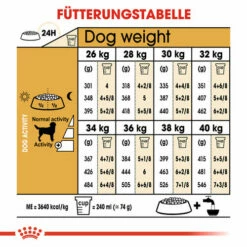 Royal Canin Labrador Retriever Adult - Hundefutter 14 Royal Canin Labrador Retriever Adult - Hundefutter -Trixie Verkäufe 2024 royal canin labrador retriever adult hondenvoer 139387 0500 none