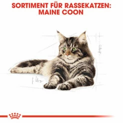 Royal Canin Maine Coon Adult - Katzenfutter 12 Royal Canin Maine Coon Adult - Katzenfutter -Trixie Verkäufe 2024 royal canin maine coon adult kattenvoer 124910 0500 none