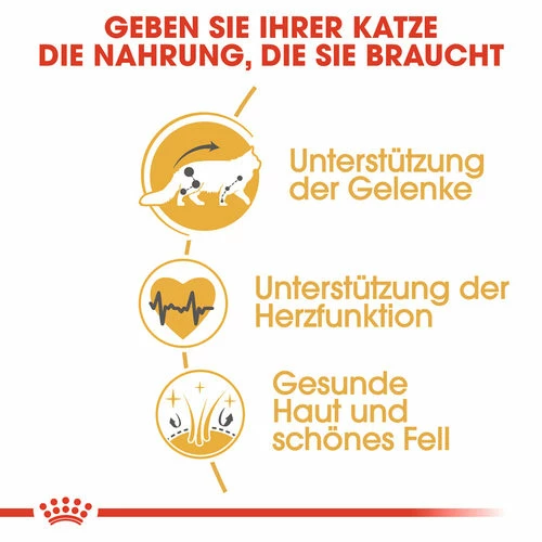 Royal Canin Maine Coon Adult - Katzenfutter 4 Royal Canin Maine Coon Adult - Katzenfutter – Bild 2