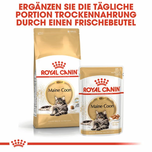 Royal Canin Maine Coon Adult - Katzenfutter 7 Royal Canin Maine Coon Adult - Katzenfutter – Bild 5