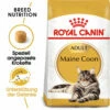 Royal Canin Maine Coon Adult - Katzenfutter -Trixie Verkäufe 2024 royal canin maine coon adult kattenvoer 124961 0500 none