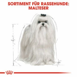 Royal Canin Maltese Adult - Hundefutter -Trixie Verkäufe 2024 royal canin maltese adult hondenvoer 139570 0500 none