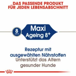 Royal Canin Maxi Ageing 8+ - Hundefutter -Trixie Verkäufe 2024 royal canin maxi ageing 8 hondenvoer 128699 0500 none