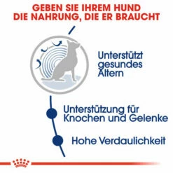 Royal Canin Maxi Ageing 8+ - Hundefutter -Trixie Verkäufe 2024 royal canin maxi ageing 8 hondenvoer 128705 0500 none