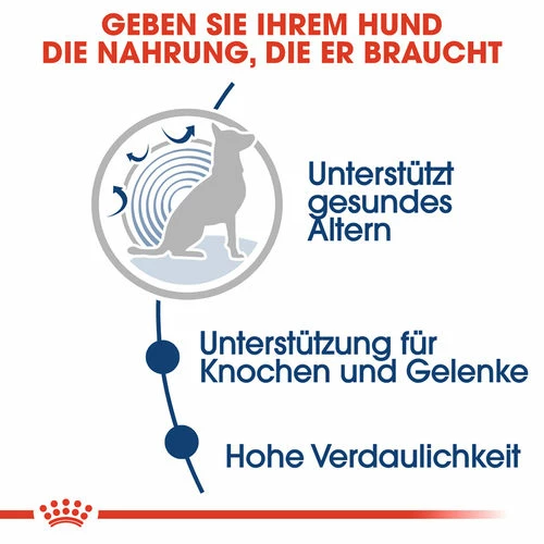 Royal Canin Maxi Ageing 8+ Wet - Hundefutter 7 Royal Canin Maxi Ageing 8+ Wet - Hundefutter – Bild 5