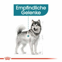 Royal Canin Maxi Joint Care - Hundefutter -Trixie Verkäufe 2024 royal canin maxi joint care hondenvoer 132533 0500 none