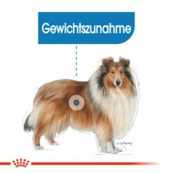 Royal Canin Maxi Light Weight Care - Hundefutter -Trixie Verkäufe 2024 royal canin maxi light weight care hondenvoer 132599 0500 none
