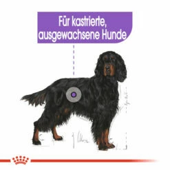 Royal Canin Maxi Sterilised - Hundefutter -Trixie Verkäufe 2024 royal canin maxi sterilised hondenvoer 132662 0500 none