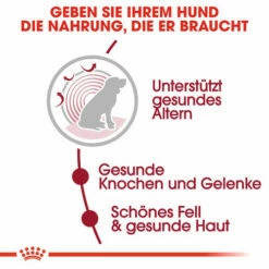 Royal Canin Medium Ageing 10+ - Hundefutter -Trixie Verkäufe 2024 royal canin medium ageing 10 hondenvoer 128816 0500 none