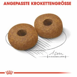 Royal Canin Medium Ageing 10+ - Hundefutter -Trixie Verkäufe 2024 royal canin medium ageing 10 hondenvoer 128822 0500 none