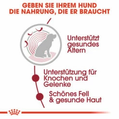 Royal Canin Medium Ageing 10+ Wet - Hundefutter -Trixie Verkäufe 2024 royal canin medium ageing 10 wet hondenvoer 129197 0500 none