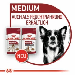 Royal Canin Medium Ageing 10+ Wet - Hundefutter -Trixie Verkäufe 2024 royal canin medium ageing 10 wet hondenvoer 129239 0500 none