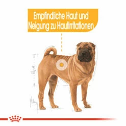 Royal Canin Medium Dermacomfort - Hundefutter -Trixie Verkäufe 2024 royal canin medium dermacomfort hondenvoer 143273 0500 none