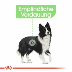 Royal Canin Medium Digestive Care - Hundefutter -Trixie Verkäufe 2024 royal canin medium digestive care hondenvoer 132788 0500 none