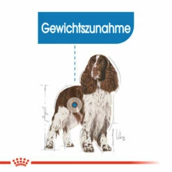 Royal Canin Medium Light Weight Care - Hundefutter -Trixie Verkäufe 2024 royal canin medium light weight care hondenvoer 132851 0500 none