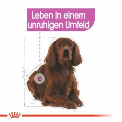 Royal Canin Medium Relax Care - Hundefutter 12 Royal Canin Medium Relax Care - Hundefutter -Trixie Verkäufe 2024 royal canin medium relax care hondenvoer 131183 0500 none