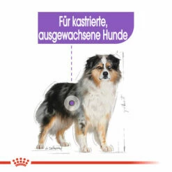 Royal Canin Medium Sterilised - Hundefutter -Trixie Verkäufe 2024 royal canin medium sterilised hondenvoer 132911 0500 none