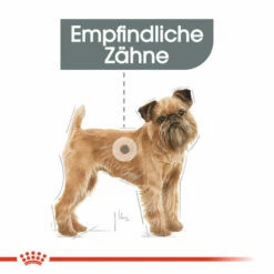 Royal Canin Mini Dental Care - Hundefutter -Trixie Verkäufe 2024 royal canin mini dental care hondenvoer 130985 0500 none