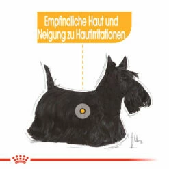 Royal Canin Dermacomfort Mini - Hundefutter -Trixie Verkäufe 2024 royal canin mini dermacomfort hondenvoer 132977 0500 none