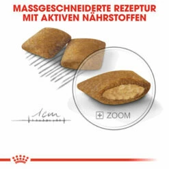 Royal Canin Mini Exigent - Hundefutter -Trixie Verkäufe 2024 royal canin mini exigent hondenvoer 133178 0500 none