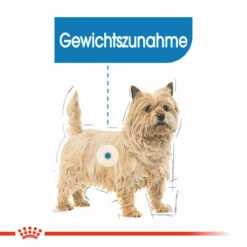 Royal Canin Mini Light Weight Care - Hundefutter -Trixie Verkäufe 2024 royal canin mini light weight care hondenvoer 132725 0500 none