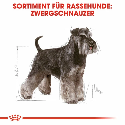 Royal Canin Mini Schnauzer Adult - Hundefutter 6 Royal Canin Mini Schnauzer Adult - Hundefutter – Bild 4