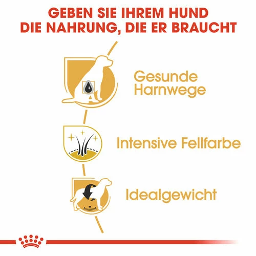 Royal Canin Mini Schnauzer Adult - Hundefutter 4 Royal Canin Mini Schnauzer Adult - Hundefutter – Bild 2