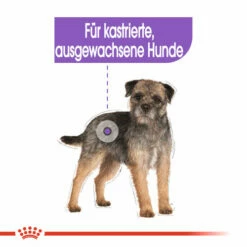 Royal Canin Mini Sterilised - Hundefutter -Trixie Verkäufe 2024 royal canin mini sterilised hondenvoer 133229 0500 none