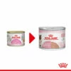Royal Canin Mother & Babycat Ultra Soft Mousse - Katzenfutter -Trixie Verkäufe 2024 royal canin mother babycat mousse kattenvoer 207047 0500 none