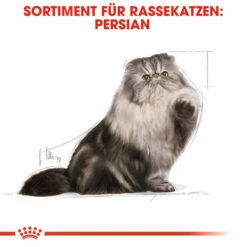 Royal Canin Persian Adult Wet - Katzenfutter 12 Royal Canin Persian Adult Wet - Katzenfutter -Trixie Verkäufe 2024 royal canin persian adult wet kattenvoer 126065 0500 none
