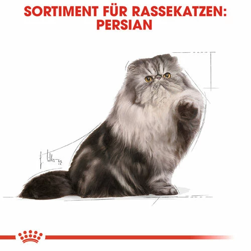 Royal Canin Persian Adult Wet - Katzenfutter 6 Royal Canin Persian Adult Wet - Katzenfutter – Bild 4