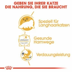 Royal Canin Persian Adult Wet - Katzenfutter 10 Royal Canin Persian Adult Wet - Katzenfutter -Trixie Verkäufe 2024 royal canin persian adult wet kattenvoer 126077 0500 none